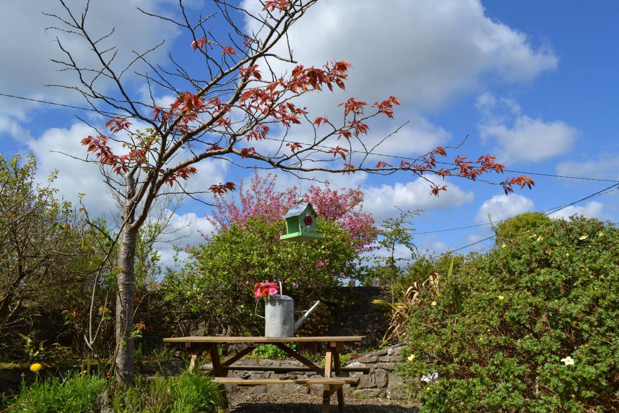Wild Honey Inn 리스둔바르나 외부 사진